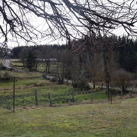 La Crova Villa Félines Kültér fotó