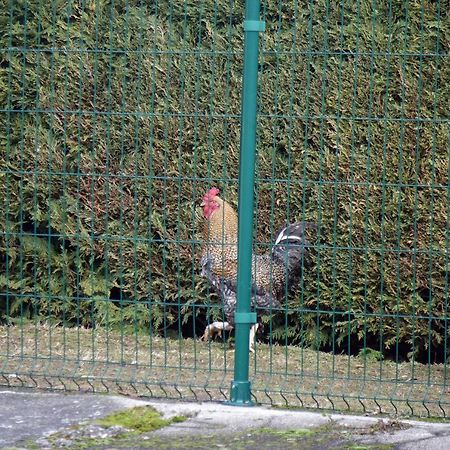 La Crova Villa Félines Kültér fotó