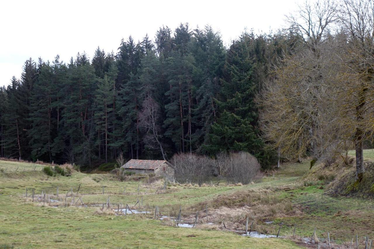 La Crova Villa Félines Kültér fotó